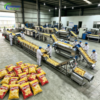 Shepody 100kg/u 200kg/u productielijn voor verse frites, op maat gemaakte productielijn voor de verwerking van frites