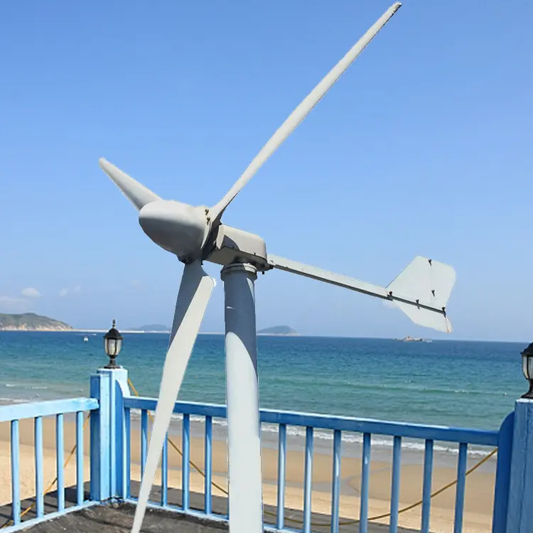 Turbina eolica 2kw 3kw mulino a vento centrale elettrica turbina generatore eolico ad asse orizzontale per uso domestico