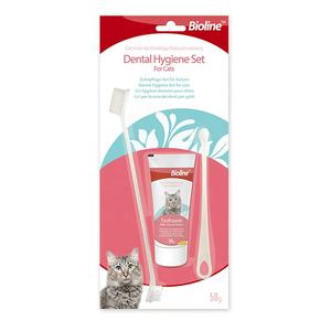 Fabricant chinois Shopify, ensemble de dentifrice pour animaux de compagnie à la saveur de <span class=keywords><strong>fromage</strong></span>, 2 brosses à dents pour chats - Product Image 1