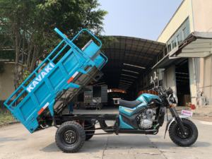 <span class=keywords><strong>Tribike</strong></span> Motocicleta DJL200 Triciclo Motocicleta 200CC Triciclos motorizados Triciclo para adultos para cargar mercancías - Product Image 6