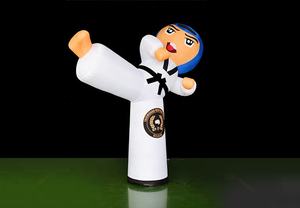 厂家价格发光二极管照明充气跆拳道男孩卡通人物广告充气有效促销 - Product Image 6