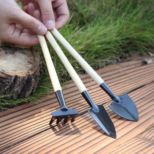 3pcs Mini Garden Tool Set Succulent Planting <b>Kit</b> Hand Trowel Shovel Tools for Indoor Plants and <b>Gardening</b> - Product Image 3