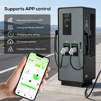 Estación de Carga para Vehículos Eléctricos Ovrod Comercial de 60KW, Montaje en Suelo, Doble Pistola, Carga Rápida DC Gbt, Ocpp 2.0.1