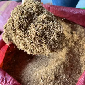 Keluaran baru 2024 pabrik langsung cocopeat coco dust 100% produk kelapa organik cocopat dibuat di 地nam untuk dijual