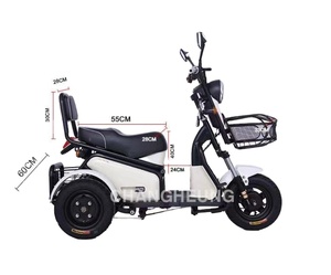2024 City Sport High Power 800w 20ah Bike /<b>electric</b> Mobility Scooter / Motorcycle E Pudding Tricycle - Product Image 3