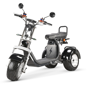 Motor dual de 2000w para motocicleta, triciclo eléctrico de 3 ruedas para pasajeros, almacén de la UE - Product Image 1