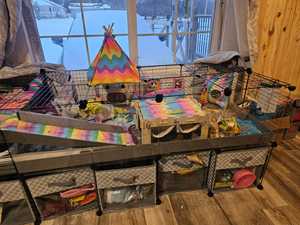 Coussinets en polaire imperméables pour la <span class=keywords><strong>cage</strong></span> du cobaye - Product Image 5