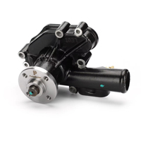 Pompa dell'Acqua 129907-42001 129907-42000 129907-42002 per Motore EC55B EC60C DX55 DH60-7 DX60 DH80 SK60-8 Yanmar 4TNV94 4TNV98 D3.1