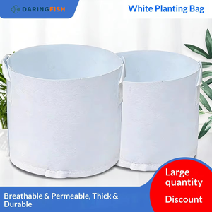 DaringFish Bolsas de Cultivo Blancas de Tela No Tejida Gruesa con Asas, Venta al por Mayor para Jardinería Doméstica y Producción de Viveros de Flores - Product Image 4