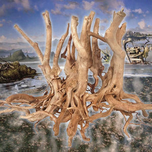 Groothandel Natuur Decoratieve Tropische Regenwoudboom Grote Bonsai Drijfhout Boom - Product Image 3