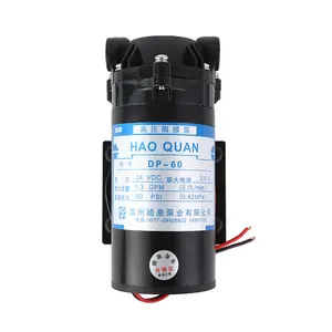 Electric High Pressure Caravan Small Suction 5m Diaphragm Temperature Resistance Portable Water Pump DP-60 DC 24V