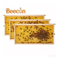Neuer Langstroth Tiefrahmen mit Wachsfundament Bienenstockrahmen für die Imkerei