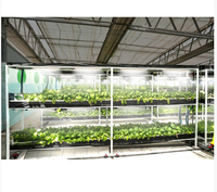 Panneau lumineux LED à spectre complet personnalisé de 46 W pour la croissance des plantes d'intérieur et des semis