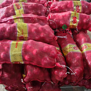 Cebollas Frescas para Exportación, Nueva Cosecha de Cebollas Rojas y Amarillas - Product Image 6