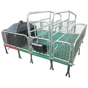 Lợn Trang Trại Thiết Bị Gian Hàng Hệ Thống Farrowing Crate Pig Farrowing Bút Để Bán