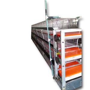 กรงเลี้ยงไก่เนื้อพร้อมระบบเก็บมูลอัตโนมัติ ลวดชุบสังกะสีหนา อุปกรณ์เลี้ยงไก่แบบปรับแต่งได้ - Product Image 5