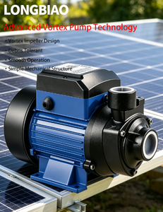 <span class=keywords><strong>Pompe</strong></span> à <span class=keywords><strong>eau</strong></span> auto-amorçante à vortex pour pipeline photovoltaïque DC12, haute puissance, haut débit, modèle BDQB - Product Image 4