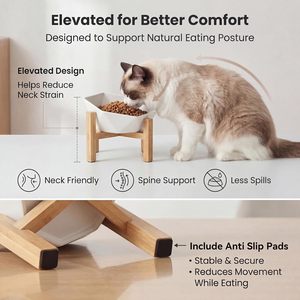 Comedero elevado de cerámica para gatos con soporte de bambú, tazón elevado para gatos de interior y perros pequeños - Product Image 3