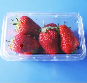 حاوية بلاستيكية شفافة مستطيلة للاستعمال مرة واحدة ، صدفة فاكهة الفراولة