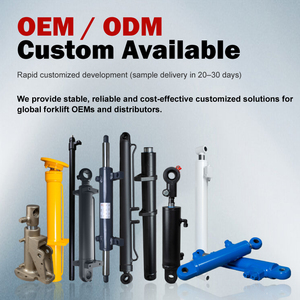 Custom Forklift Parts <strong>Hydraulic</strong> Piston <strong>Cylinder</strong> Double Acting <strong>Hydraulic</strong> Steering <strong>Cylinder</strong> - Product Image 2