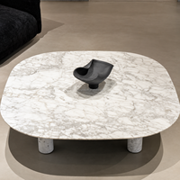 Table basse de luxe en marbre blanc de forme organique, idéale pour villas modernes, hôtels et projets d'aménagement de espaces de vie – Vente en gros