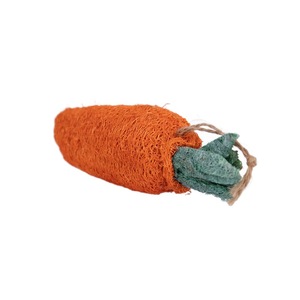 Jouets pour animaux de compagnie en loofah et carotte pour lapins, cochons d'Inde, chats, chiens, nettoyage des dents, résistants aux morsures, jouets à mâcher durables - Product Image 4