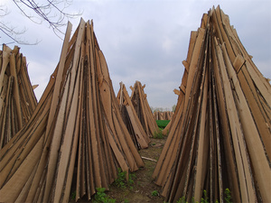 Ánh sáng paulownia gỗ Hội Đồng Quản trị giá gỗ <span class=keywords><strong>chamfer</strong></span> nhà sản xuất vật liệu xây dựng - Product Image 6