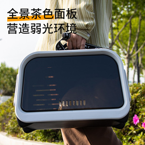 Modern Transparent <b>Pet</b> <b>Carrier</b> For Cats With Breathable Design And Zipper Closure Gray Color - Product Image 3