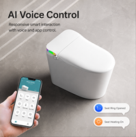 Toilette intelligente monobloc personnalisée avec réservoir intégré, chasse d'eau automatique et nettoyage bidet pour salle de bain de villa