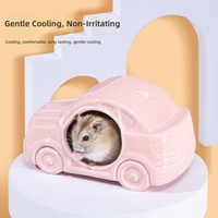Rumah Keramik Bentuk Mobil untuk Hamster, Tempat Berlindung Dingin Musim Panas, Dekorasi Kandang untuk Hewan Peliharaan Kecil Grosir