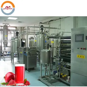 Línea de producción automática de jugo de Granada, equipo de planta de procesamiento de jugo de Granada, maquinaria de fabricación de fábrica, precio a la venta