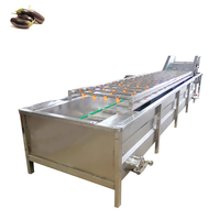Fruit- en groentewasmachine met bubbelreiniging, ultrasone en bubbelreinigingsmachine
