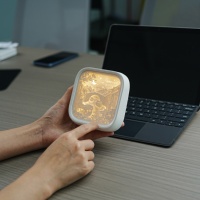 Lanterne en papier décorative personnalisée, sculpture artistique découpée au laser, boîte à ombre, vente en gros, veilleuse LED USB pour chambre à coucher, Noël