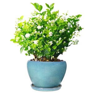 Elegante juego de macetas de cerámica, <span class=keywords><strong>jardineras</strong></span> versátiles <span class=keywords><strong>para</strong></span> interiores/exteriores <span class=keywords><strong>para</strong></span> el jardín del hogar, maceta elegante, decoración de muebles - Product Image 3