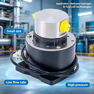 Pompe doseuse micro-engrenages DOCOD 0,1 mL/rev à entraînement magnétique en acier inoxydable, moteur CC sans balais 24 VCC, pompe à eau 1,6 MPa - Product Image 1