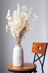 Fleur séchée naturelle Lunaria pour la décoration intérieure - Product Image 3