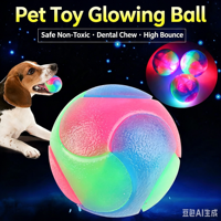 Vente en gros de balles élastiques lumineuses clignotantes, jouet interactif pour chien qui brille dans le noir, jouets pour animaux de compagnie