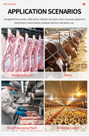 Machine de traitement des déchets animaux CMJ-1 1.0 T/lot certifiée SGS avec broyeur hermétique et convoyeur scellé pour élevages avicoles à grande échelle