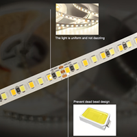 2835 Ruban Flexible Led Blanc Double Couleur 3000K à 6000K CCT Réglable 8mm 2835 SMD LED Bande Lumineuse