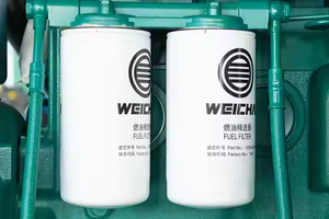 Thuyền đánh cá Máy phát điện diesel 50Hz <span class=keywords><strong>180kw</strong></span> 225kva Bộ weichai động cơ Hàng Hải wp10cd238e200 - Product Image 5