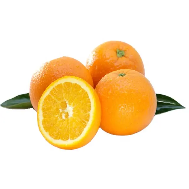 Fresh Orange Ready Export Premium New Crop Fresh Orange, Fruit Proveedores al por mayor Sweet Navel Price Citrus Orange Fresh Fruit