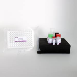 Avian leukosis virus P27 kháng nguyên Elisa Kit kiểm tra (96 Wells/hộp) cho trứng trắng/cloacal tăm bông phát hiện-CE chứng nhận - Product Image 6