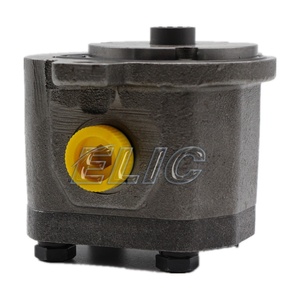 Nuovissima pompa a ingranaggi ELIC GSP2-BOX 10R-10-767-0 pilotata - Product Image 6