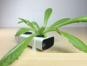 Grand fabricant familial de matériel de plantation pour <span class=keywords><strong>balcon</strong></span> Type de tuyau Culture hors-sol pour légumes et fraises - Product Image 2