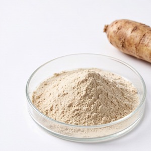 Extrait de Yam Sauvage Chinois Premium en Poudre / <span class=keywords><strong>Shan</strong></span> <span class=keywords><strong>Yao</strong></span> pour le Soutien Digestif et les Solutions de Bien-être Féminin - Product Image 1