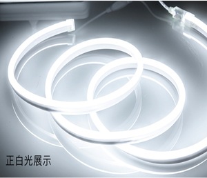 ไฟนีออน LED แบบยืดหยุ่น 12V 24V 110V 120V 240V <span class=keywords><strong>230V</strong></span> RGB RGBW - Product Image 4