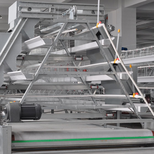 Jaula para Gallinas Tipo A de Alta Calidad, Equipo de Cría para 10000 Aves, Gallinero Personalizado, Jaulas para Aves de Corral - Product Image 6