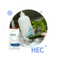Hydroxyéthylcellulose (HEC) en poudre de haute pureté 99 %, qualité détergente chimique, pour shampoing, liquide vaisselle, additif pour peinture, épaississant
