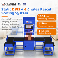 Máquina Clasificadora de Paquetes Automática Industrial con Escáner DWS Estático, 6 Canales, 3000 PPH, Duradera para Uso en Almacenes de Entrega Exprés