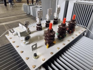Transformateur de distribution de puissance triphasé immergé dans l'huile S11/S13, abaisseur de tension 10kV 35kV vers 400V 220V pour réseau industriel S11/S13 Adv - Product Image 4